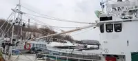 Trawler zu verkaufen