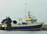 Schiff für Fischverarbeitung und -transport zu verkaufen