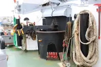 Schleppboot zu verkaufen