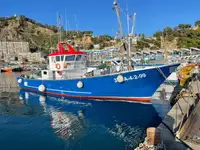 Trawler zu verkaufen