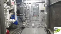 Kreuzfahrtschiff zu verkaufen