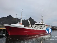 Trawler zu verkaufen