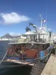 Kühlschiff zu verkaufen
