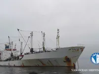 Kühlschiff zu verkaufen