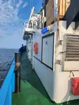 Schleppboot zu verkaufen