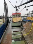Trawler zu verkaufen
