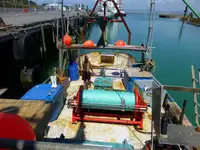 Trawler zu verkaufen