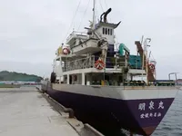 General Cargo/Multi-purpose zu verkaufen