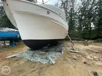 Trawler zu verkaufen