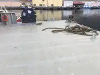 Ponton zu verkaufen