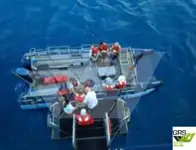 Kreuzfahrtschiff zu verkaufen