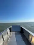 Landungsboot, Tank zu verkaufen