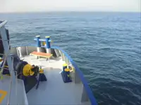 Kühlschiff zu verkaufen
