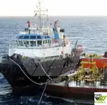 Schlepper zu verkaufen