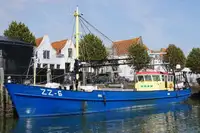 Trawler zu verkaufen