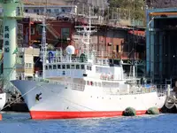 Patrouillenboot zu verkaufen
