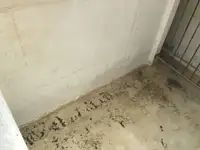 Trawler zu verkaufen