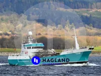Aquakultur-/Muschelzucht-Schiff zu verkaufen