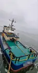 Schleppboot zu verkaufen