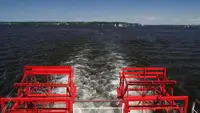 Containerschiff zu verkaufen