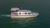 Kreuzfahrtschiff zu verkaufen