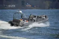 Festrumpf-Schlauchboot zu verkaufen