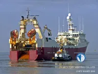 Trawler zu verkaufen