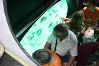 Passagierschiff zu verkaufen