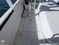 Kreuzfahrtfähre zu verkaufen