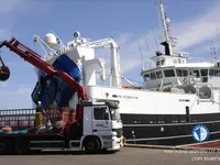 Trawler zu verkaufen