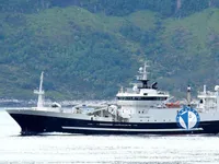 Trawler zu verkaufen