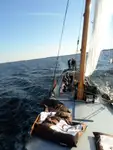 Barges zu verkaufen