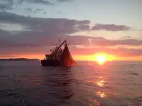 Trawler zu verkaufen