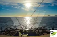 Kreuzfahrtschiff zu verkaufen