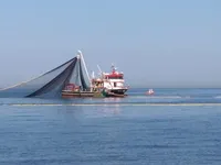 Fischereifahrzeug zu verkaufen