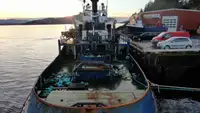 Schleppboot zu verkaufen