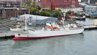 Trawler zu verkaufen