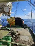 Purse-Seiner zu verkaufen