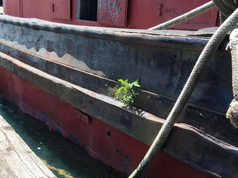 Schleppboot zu verkaufen