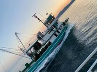 Purse-Seiner zu verkaufen