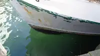 Trawler zu verkaufen
