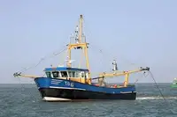 Trawler zu verkaufen