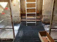 Trawler zu verkaufen
