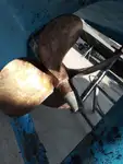 Lotsenboot zu verkaufen