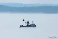 Purse-Seiner zu verkaufen