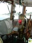 Schleppboot zu verkaufen