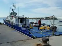 Crew-Boot zu verkaufen