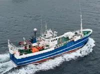 Trawler zu verkaufen