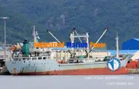 Kühlschiff zu verkaufen