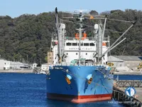 Kühlschiff zu verkaufen